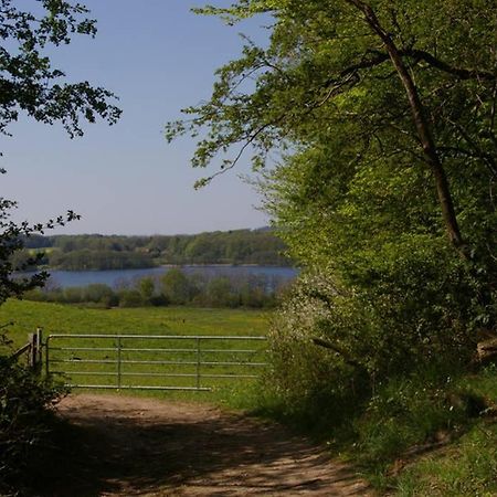 Fewo Am See 15A Klein Wittensee Eksteriør billede