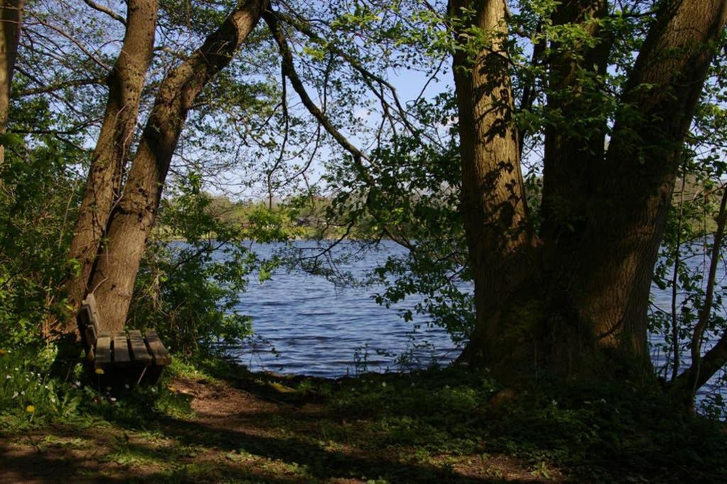 Fewo Am See 15A Klein Wittensee Eksteriør billede