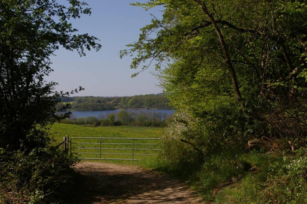 Fewo Am See 15A Klein Wittensee Eksteriør billede